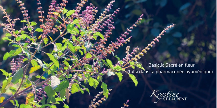 Pratiques essentielles pour cultiver la résilience, réduire le stress et profiter pleinement de la saison de feu!