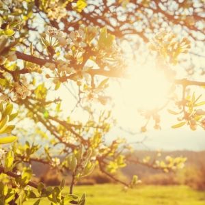 Comment utiliser les rituels adaptés à notre réalité unique?