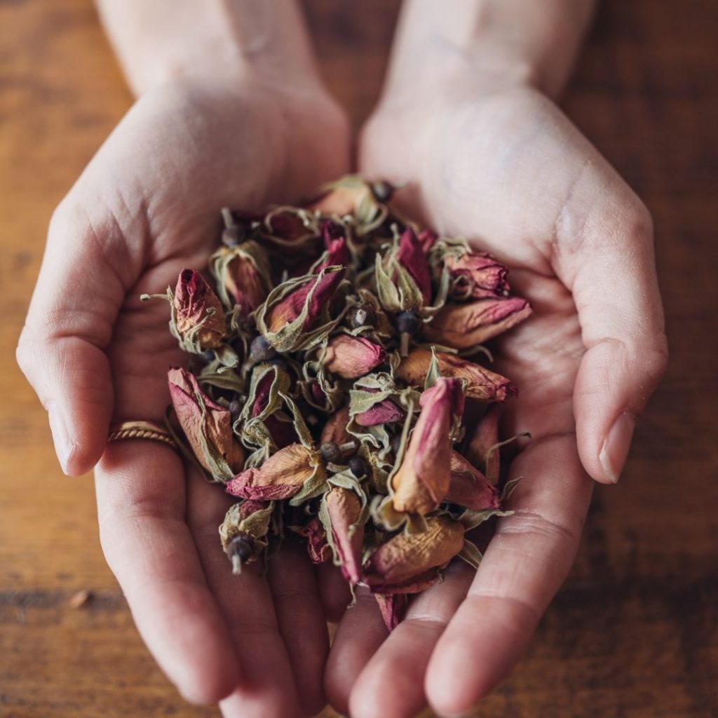 L'ayurveda, les rituels féminins et la fleur de rose