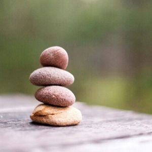 Comment s’approprier les tendances des résultats du Quiz Dosha