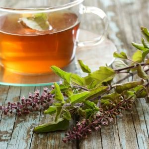 Plantes indigènes à découvrir + une plante magnifique à découvrir pour apaiser le stress