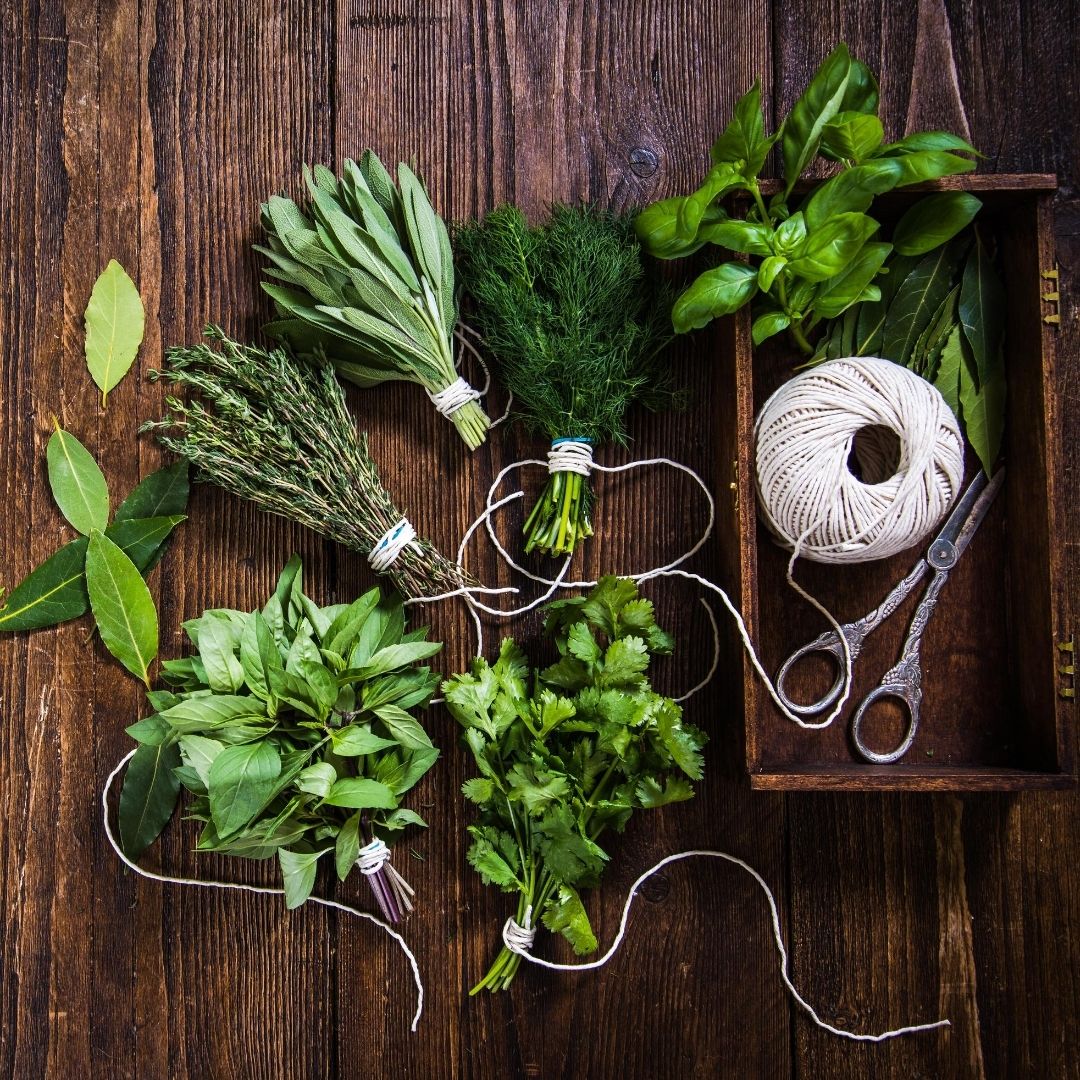 Récolter et conserver les fines herbes et plantes médicinales de son jardin