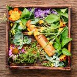 Plantes et rituels pour favoriser le sommeil