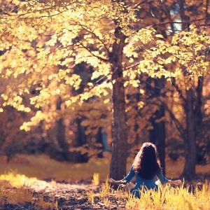 Se connecter à la nature avec ses cinq sens