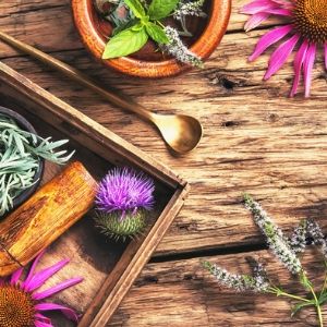 L’histoire du savoir apothicaire des Augustines