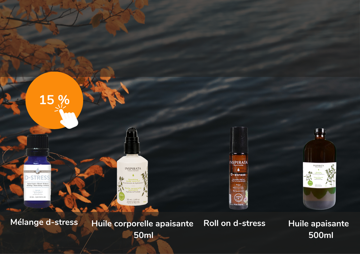 ABONDANCE D'AUTOMNE- SPÉCIAL 3 JOURS ACTION DE GRÂCE